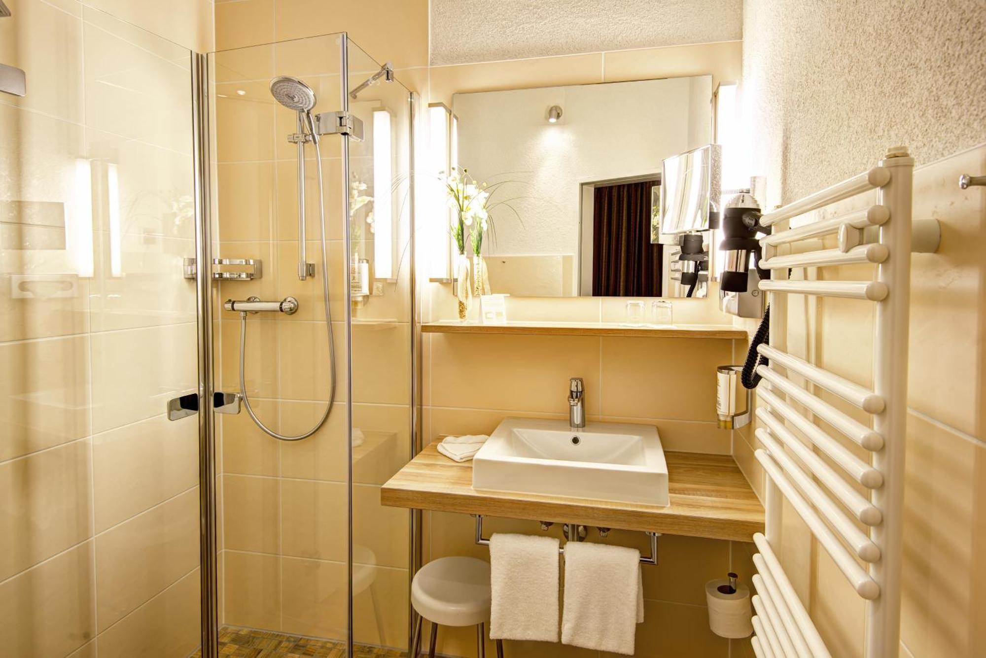 Comfort Plus Room facing garden